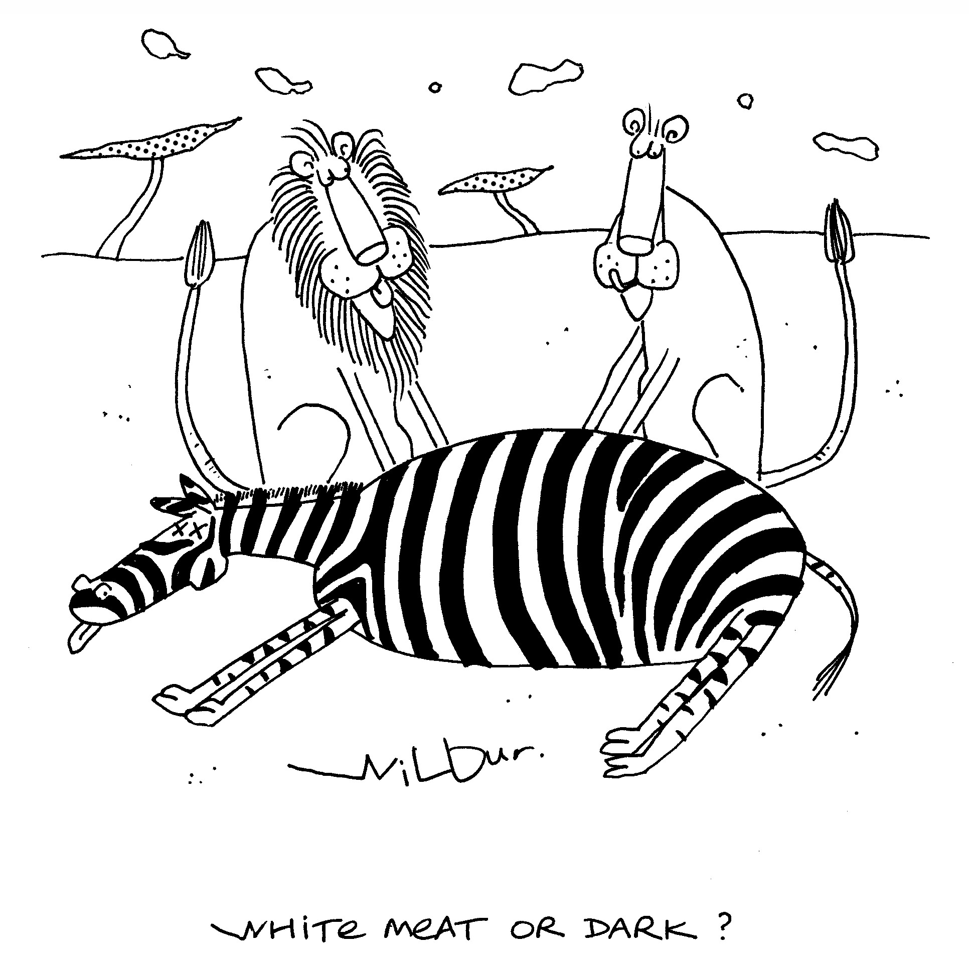 cartoon of two lions with a dead zebra - "white meat or dark?"