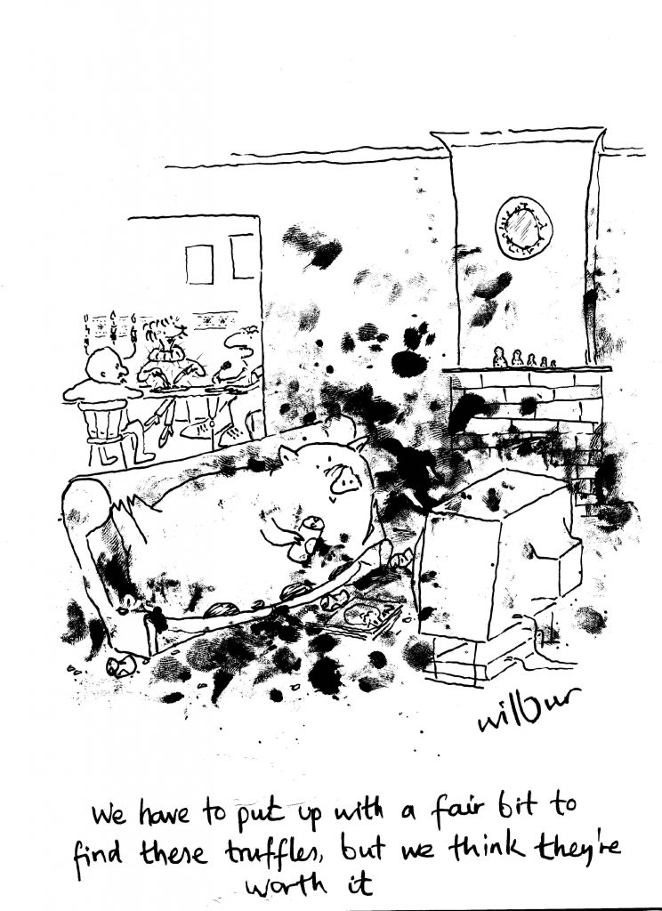 cartoon of a messy pig