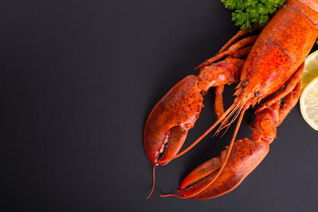 cooked Canadian lobster